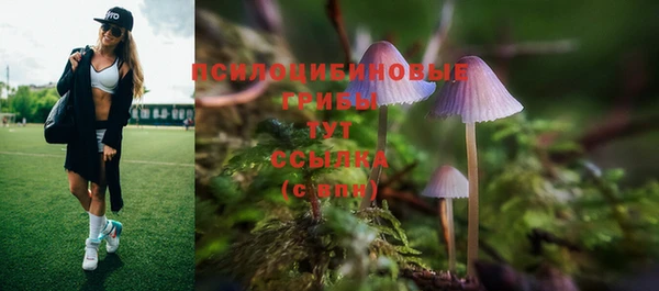 герыч Вяземский