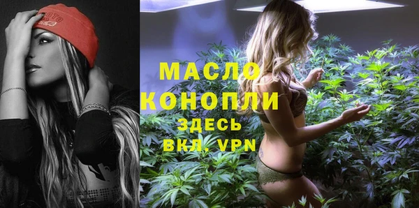 шишки Горняк
