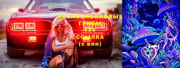 гашик Вязьма