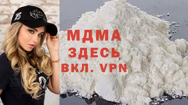 шишки Горняк